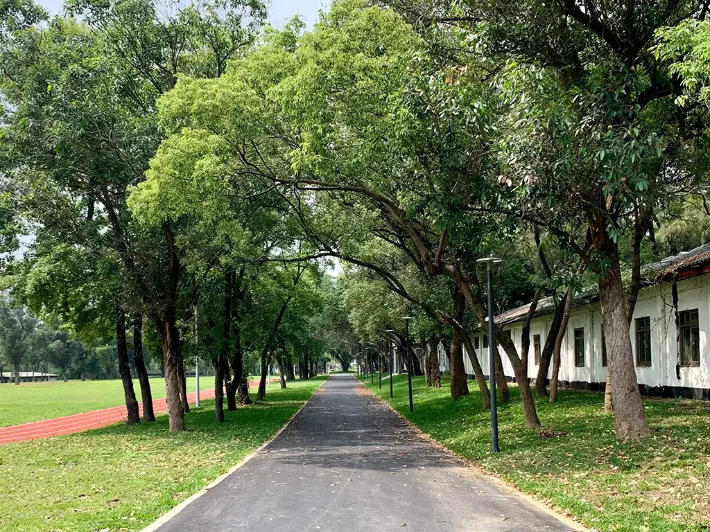 南昌森林運動公園樹蔭大道，右側白屋與路燈、左側紅色跑道。