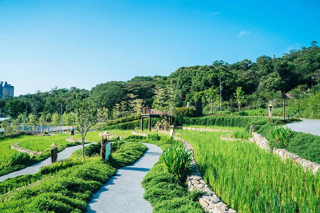 大有梯田生態公園綠色梯田，蜿蜒步道與木亭，遠處丘陵環繞。