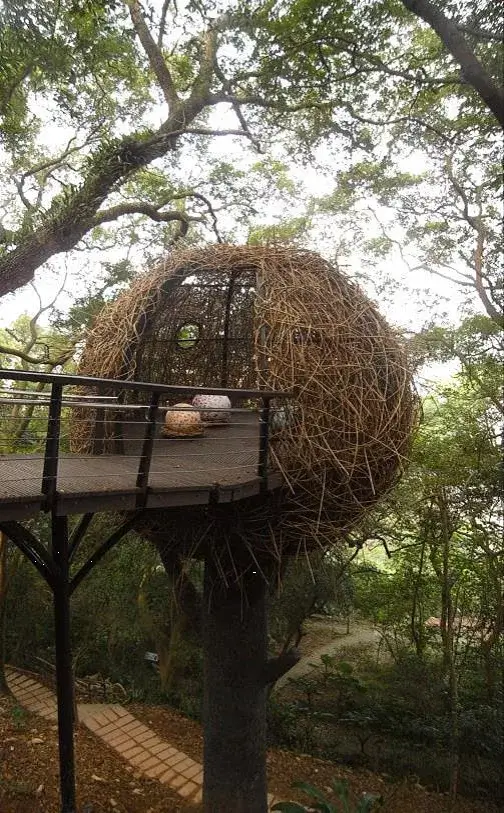 虎頭山公園友善步道旁球形樹屋，木棧道通往林間景點。